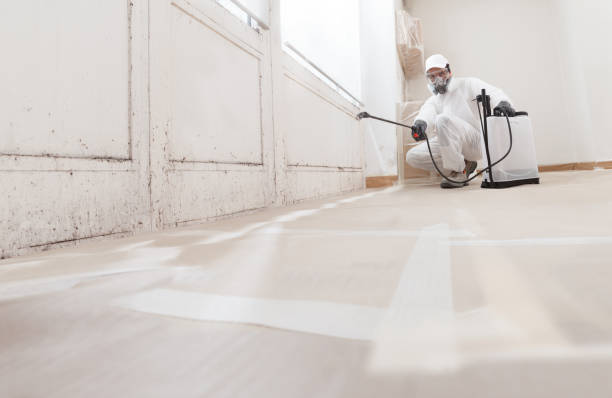 24/7 Emergency Crawl Space Mold Remediation experts in Arlington Heights, IL